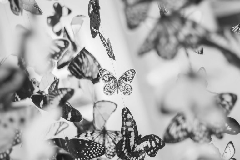 black-and-white-butterflies-decor-9159